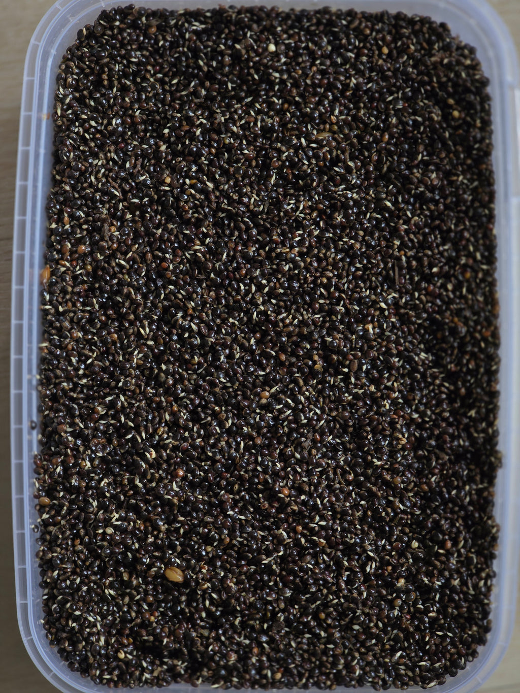 HEMP 5 L – Gotowy Mix Ziaren Konopnych | Zanęta i Przynęta na Karpia i Amura