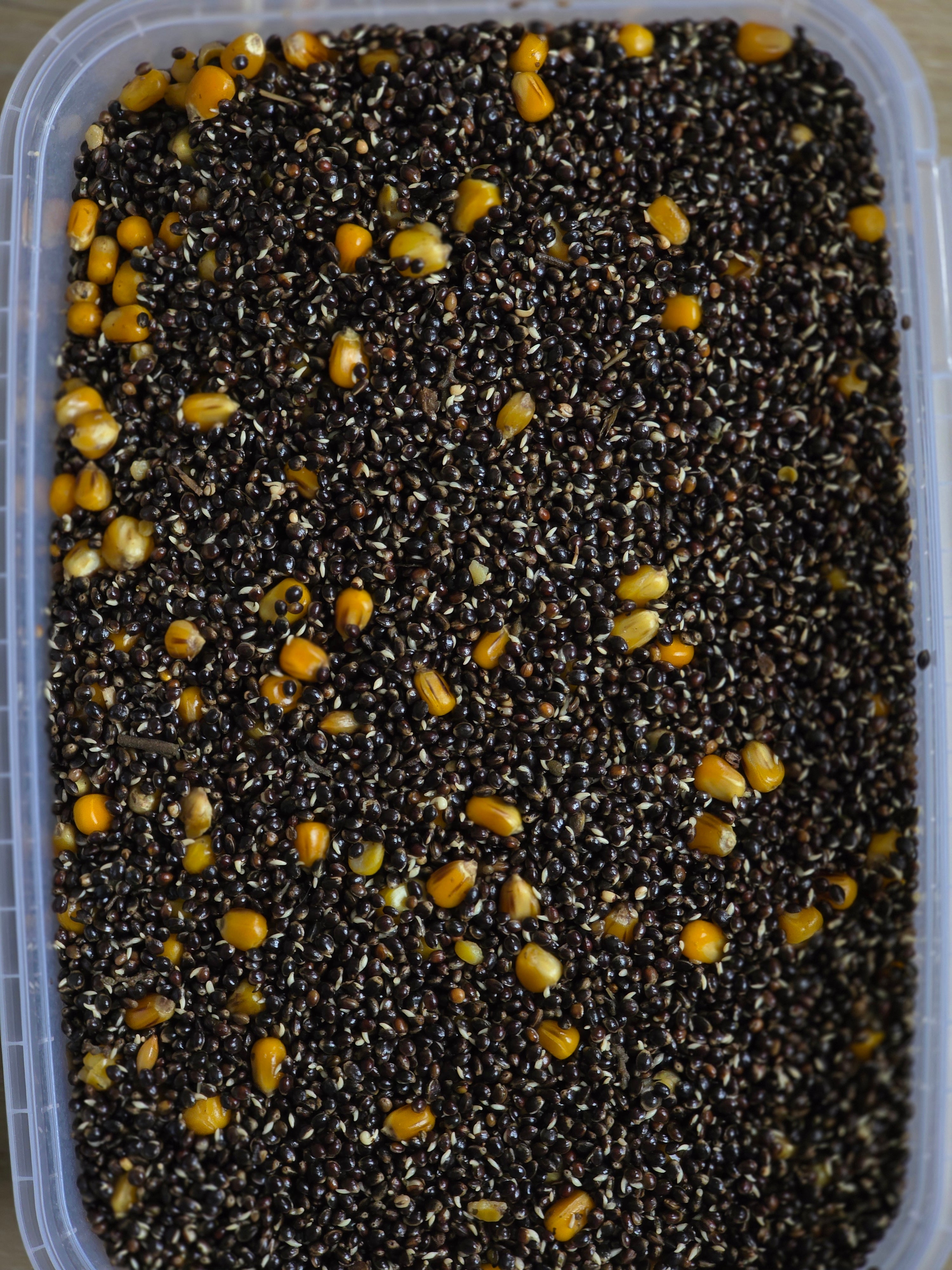 Hemp & Corn 5 L – Gotowy Mix Ziaren PVA Friendly | Zanęta i Przynęta na Karpia i Amura