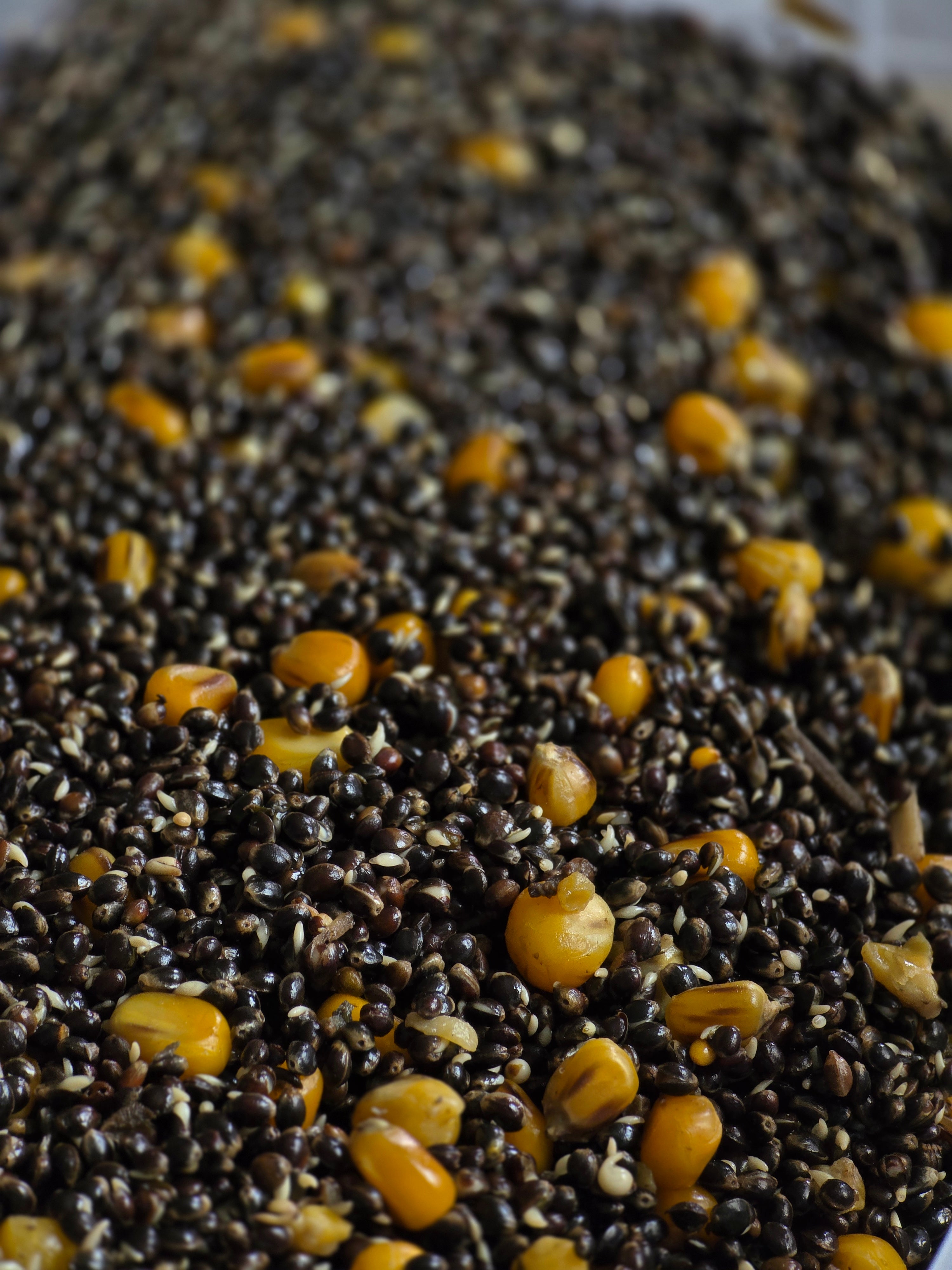 Hemp & Corn 5 L – Gotowy Mix Ziaren PVA Friendly | Zanęta i Przynęta na Karpia i Amura