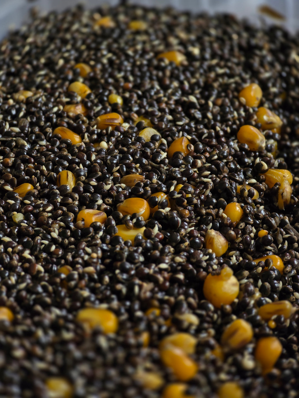 Hemp & Corn 5 L – Gotowy Mix Ziaren PVA Friendly | Zanęta i Przynęta na Karpia i Amura