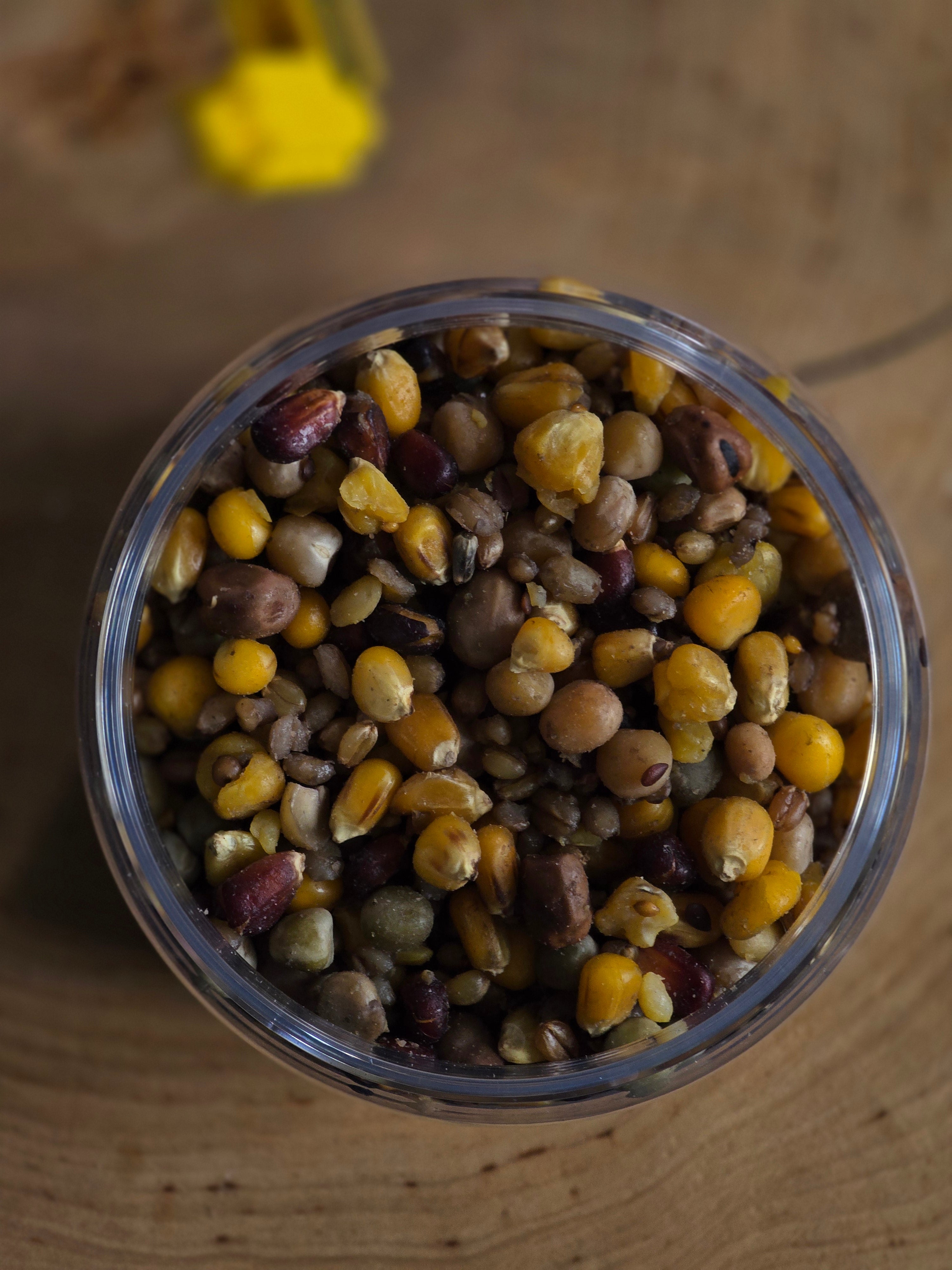 Party Blend 1250 ml – Gotowy Mix Ziaren | Naturalna Zanęta na Karpia i Amura