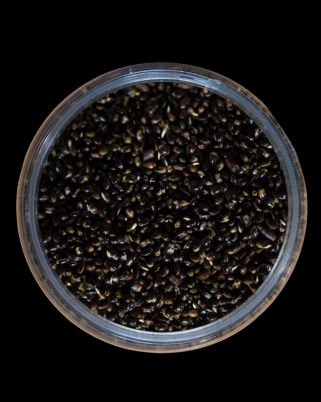 HEMP 1.25L - Konopie PVA